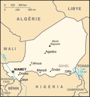 carte-niger